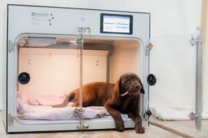 Zum Produkt IntensoBox Sauerstoffkäfig